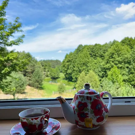 „pod Zielonym Dachem” Holiday home *