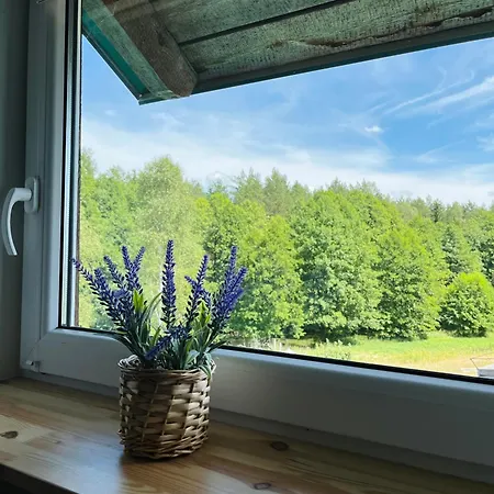 „pod Zielonym Dachem” Holiday home