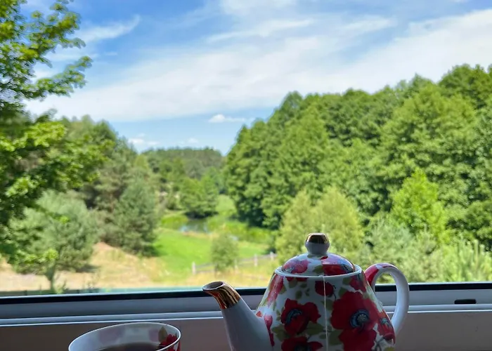 „pod Zielonym Dachem” Holiday home *